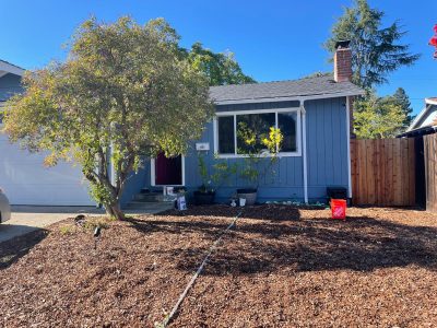 WhatsApp Image 2025-03-07 at 3.31.49 PM (1)